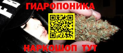 круглые Камышлов