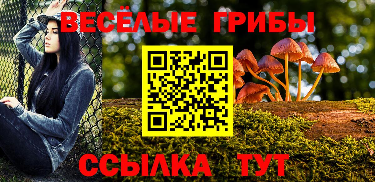 Галлюциногенные грибы Psilocybine cubensis  Галлюциногенные грибы мицелий  Нефтекамск  Вход с VPN 